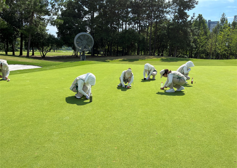 1689580749299217.jpg image027.jpg