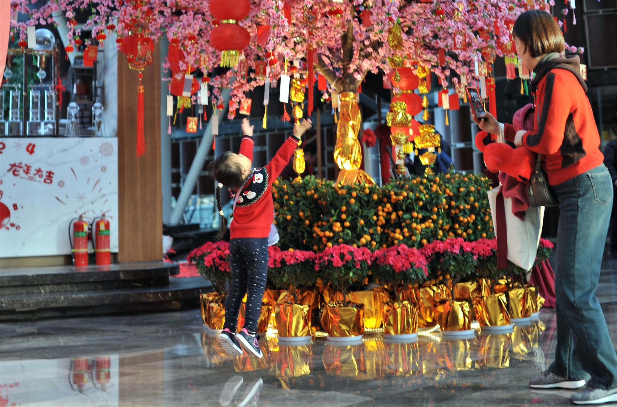 1708488331188210.jpg 16310f1fce8e85d6f21e2b7de8140d18_.jpg