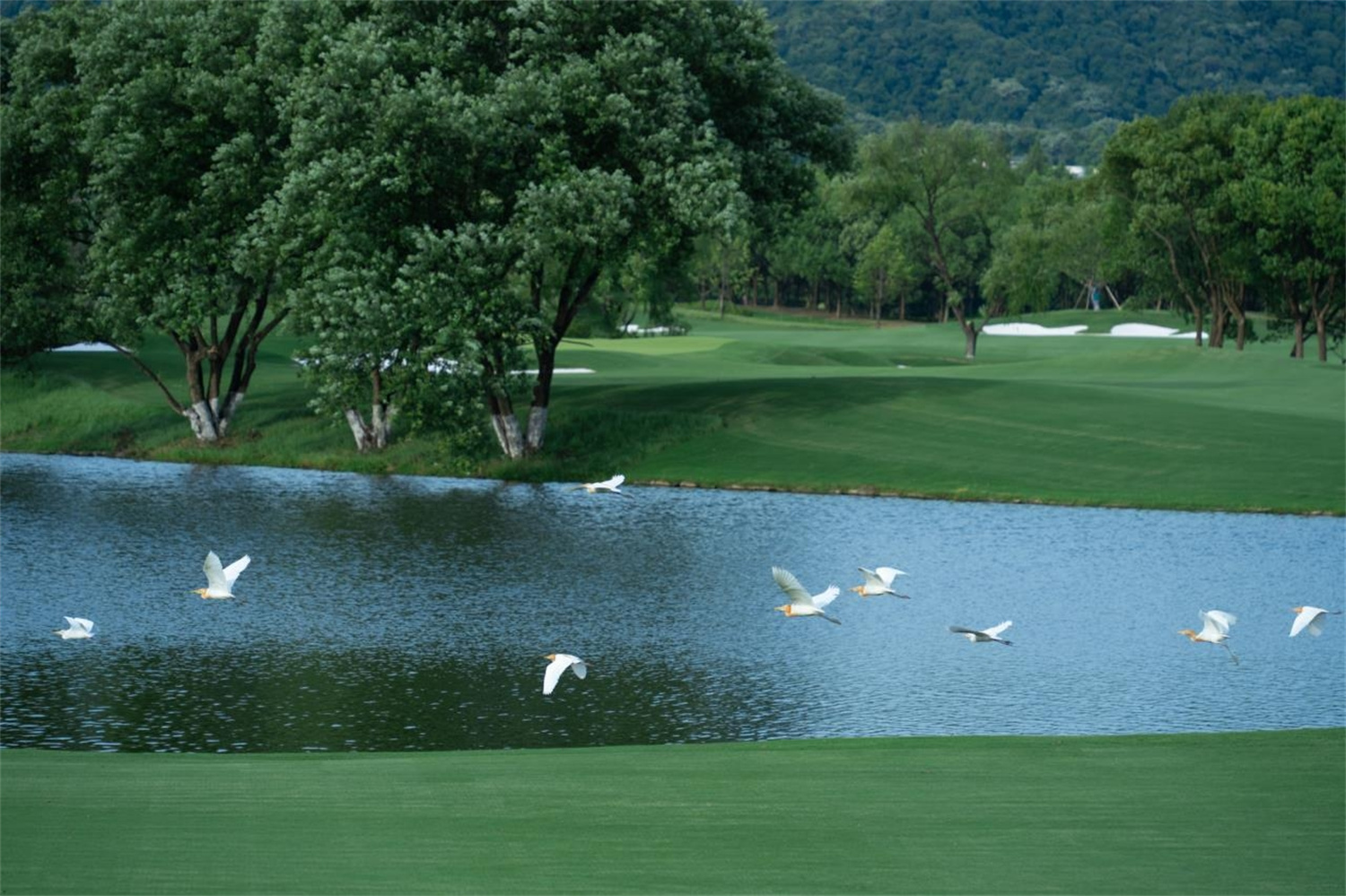 1715076364282881.jpg image019.jpg