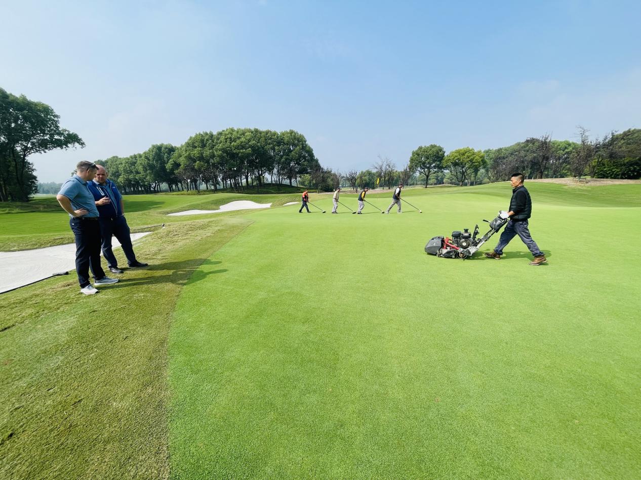 1730701726573857.jpg image019.jpg